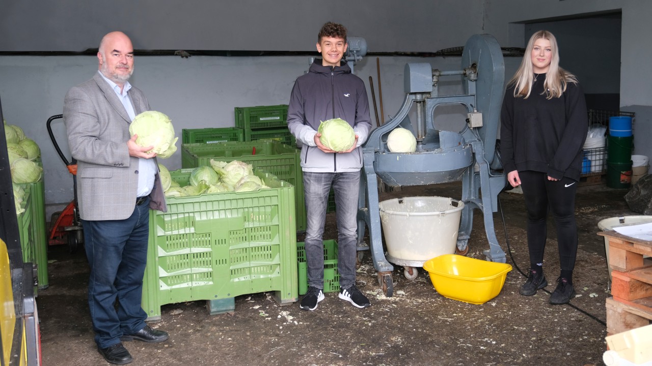 Sauerkraut: Krautköpfe schneiden 2021