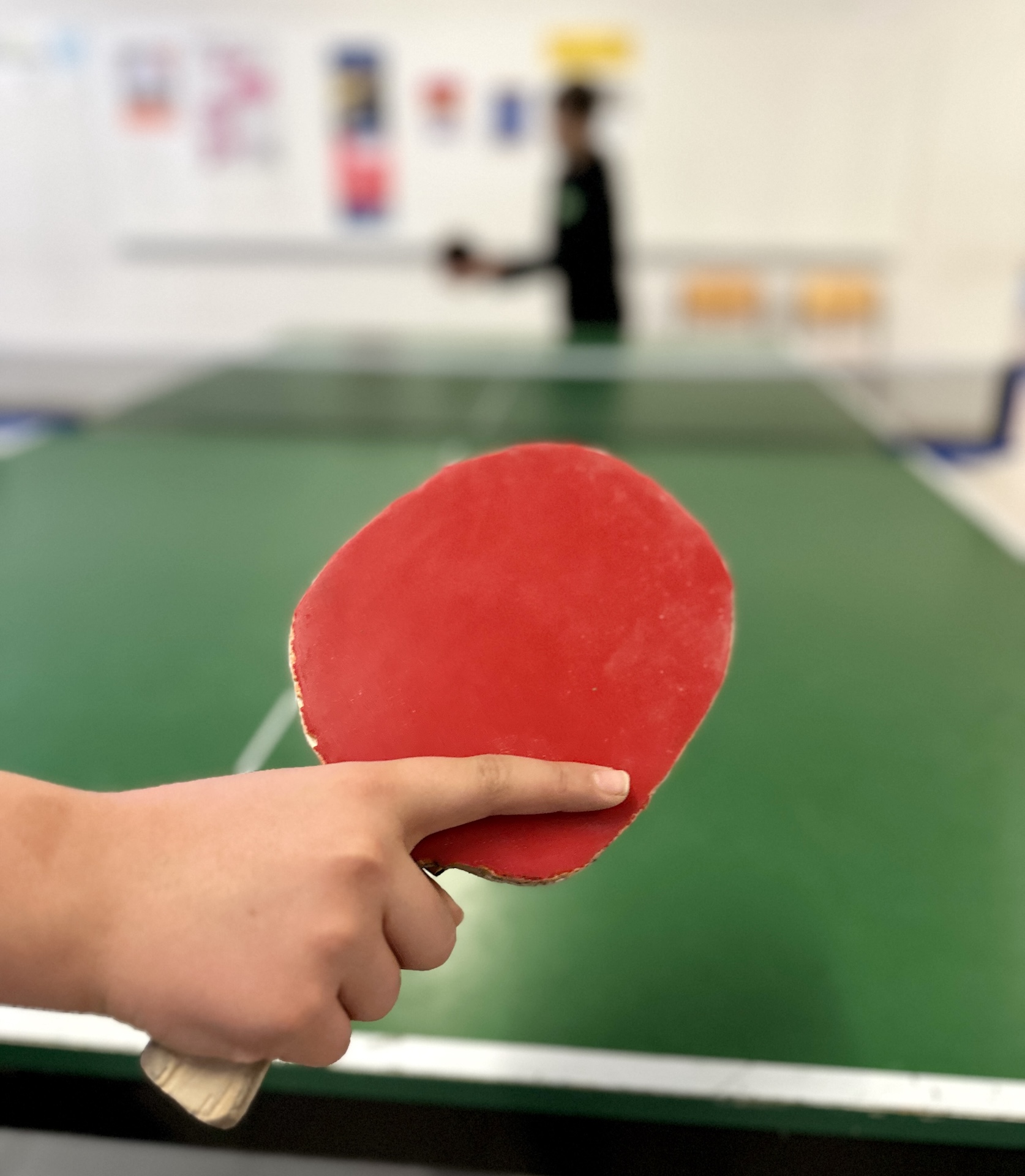 Herstellung eigener Tischtennisschläger